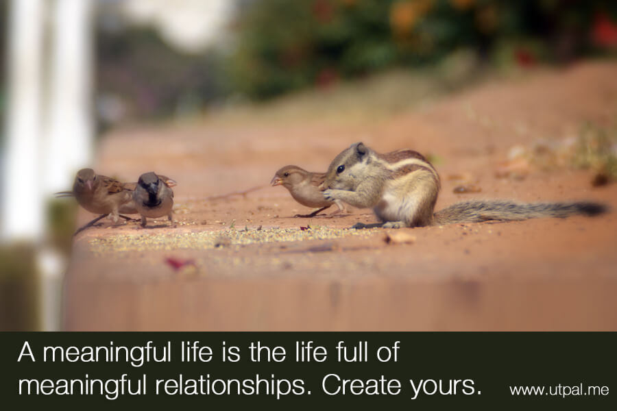 A meaningful life is the life full of meaningful relationships